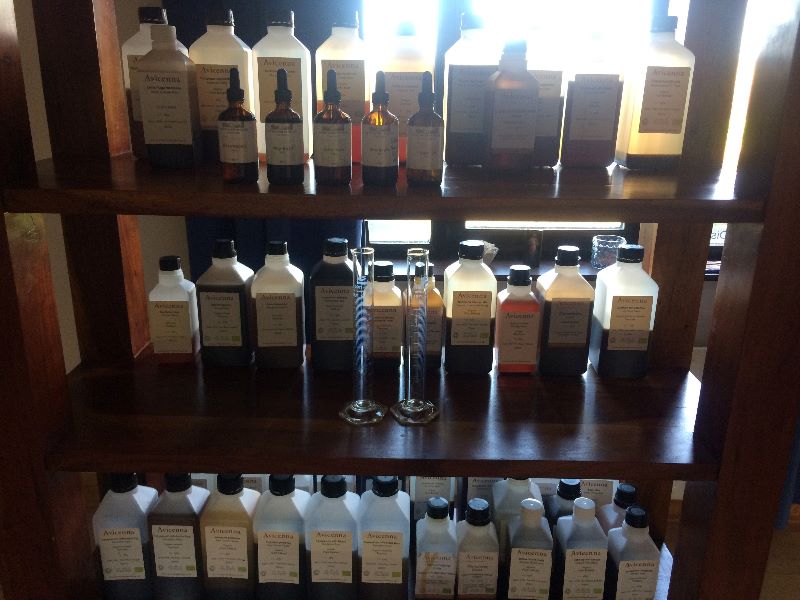 Tincture vs Fluid Extract?