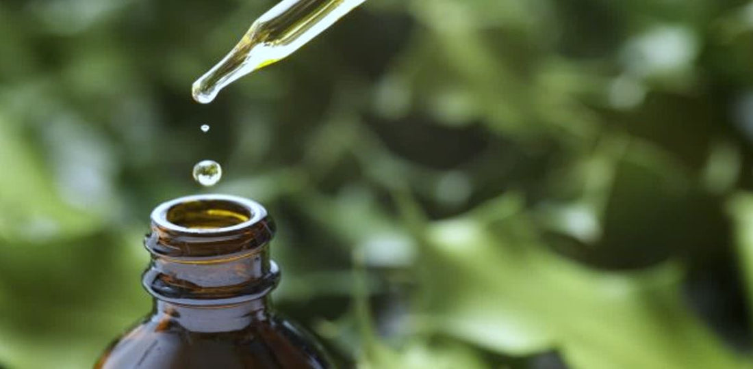 Herbalism is not Homeopathy