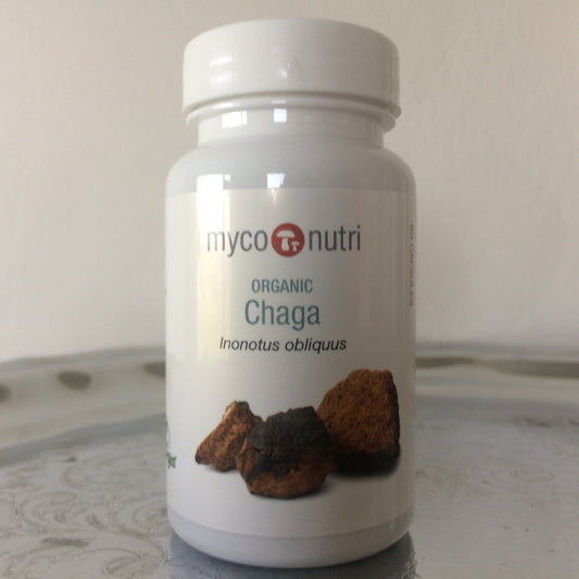 Organic Chaga mushroom Ireland