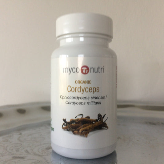 Organic Cordyceps Mushroom Ireland