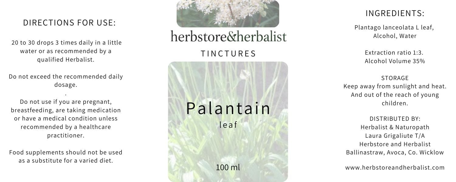 Herbstore & Herbalist Plantain leaf tincture