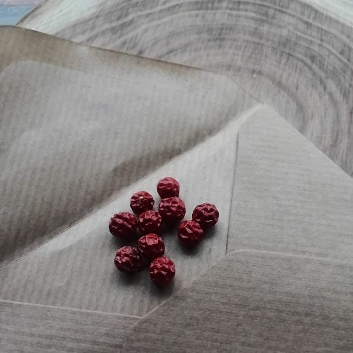 Ashwagandha Withania somnifera berries